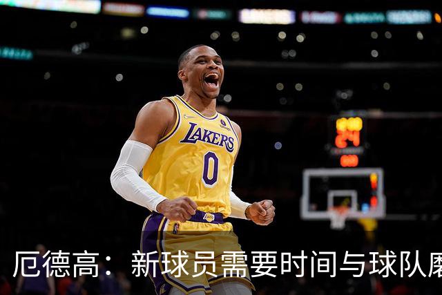 厄德高：新球员需要时间与球队磨合，我们每周都在变得更好